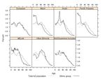 The Differences Within, Diversity in Age Structure Between and Within Ethnic Groups