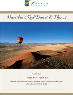Namibia's Red Dunes & Rhinos - NAMIBIA 11 Days | March 25 - April 4, 2020 - Bushtracks