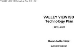 VALLEY VIEW ISD Technology Plan - Rolando Ramirez 2019 2021