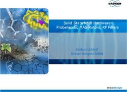 Solid State NMR Hardware Probeheads, MAS Rotors, RF Filters - Gerhard Althoff Bruker Biospin GmbH