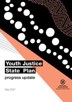 Youth Justice State Plan - progress update May 2021 - DHS