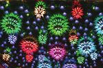 Light System Manager Author, configure, and control intricate LED light shows in multiple zones