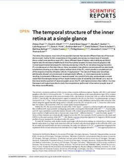 The temporal structure of the inner retina at a single glance - Nature