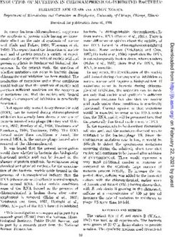 INDUCTION OF MUTATION IN CHLORAMPHENICOL-INHIBITED BACTERIA'
