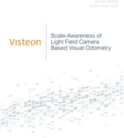 Scale-Awareness of Light Field Camera Based Visual Odometry - WHITE PAPER www.visteon.com