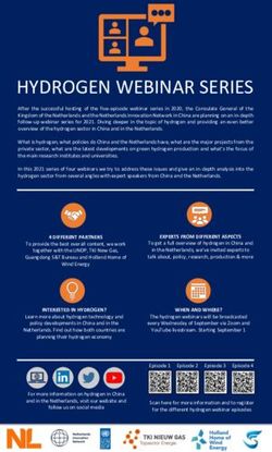 HYDROGEN WEBINAR SERIES - Holland Home of Wind ...