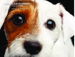 2020 IMPACT REPORT - American Humane