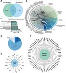 The Emerging Role of Stress Granules in Hepatocellular Carcinoma - MDPI