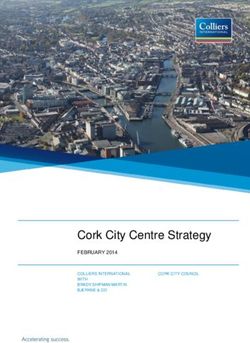 Cork City Centre Strategy