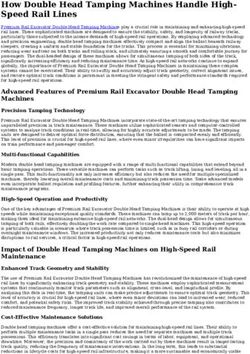 How Double Head Tamping Machines Handle High-Speed Rail Lines
