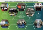 LAOIS DIGITAL STRATEGY 2020-2024 - Laois County ...