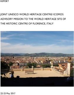 JOINT UNESCO WORLD HERITAGE CENTRE/ ICOMOS ADVISORY MISSION TO THE WORLD HERITAGE SITE OF THE HISTORIC CENTRE OF FLORENCE, ITALY - REPORT 22-25 ...