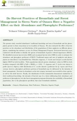 Do Harvest Practices of Bromeliads and Forest Management in Sierra Norte of Oaxaca Have a Negative E ect on their Abundance and Phorophyte Preference?