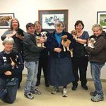 The Path from Rescue to Adoption - Your Donations at Work - Humane Society of Missouri