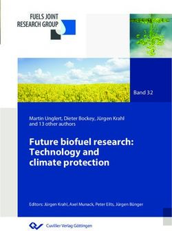 Future biofuel research: Technology and climate protection