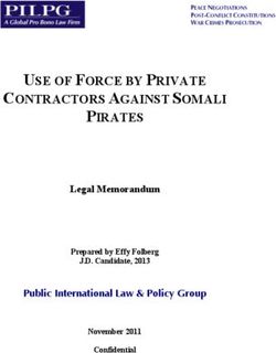 USE OF FORCE BY PRIVATE CONTRACTORS AGAINST SOMALI PIRATES - Legal Memorandum Public International Law & Policy Group
