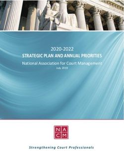 STRATEGIC PLAN AND ANNUAL PRIORITIES - 2020-2022 National Association for Court Management