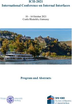 ICII-2021 International Conference on Internal Interfaces - Program and Abstracts