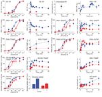 Insulin signaling dynamics in human adipocytes