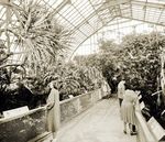 Of the Tropical Rainforest! - Witness the Transformation - National Aviary