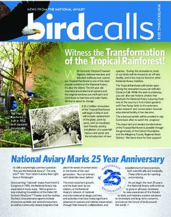 Of the Tropical Rainforest! - Witness the Transformation - National Aviary