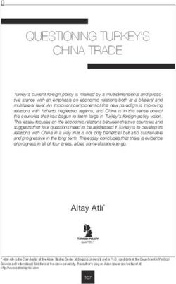 QUESTIONING TURKEY'S CHINA TRADE - dr. altay atli