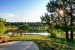 Castle Pines Homes Association - We're Glad You're Here