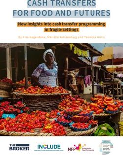 CASH TRANSFERS FOR FOOD AND FUTURES - New insights into cash transfer programming in fragile settings - The Broker ...