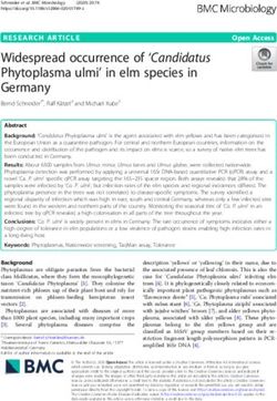 Widespread occurrence of 'Candidatus Phytoplasma ulmi' in elm species in Germany