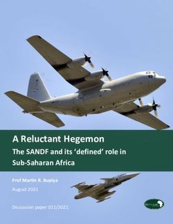 A Reluctant Hegemon The SANDF and its 'defined' role in Sub-Saharan Africa - Prof Martin R. Rupiya - The Brenthurst Foundation