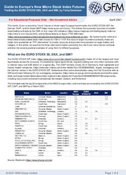 Guide to Europe's New Micro Stock Index Futures - Eurex