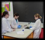 Subject Selection Guide Year 10, 2021 - Southern Cross ...