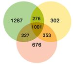 Failures of nerve regeneration caused by aging or chronic denervation are rescued by restoring Schwann cell c-Jun