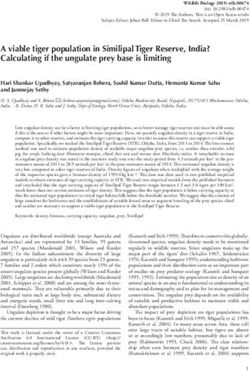 A viable tiger population in Similipal Tiger Reserve, India? Calculating if the ungulate prey base is limiting