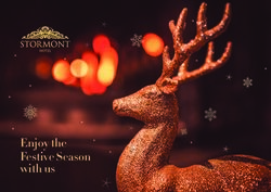 Enjoy the Festive Season - cloudfront.net