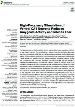 High-Frequency Stimulation of Ventral CA1 Neurons Reduces Amygdala Activity and Inhibits Fear