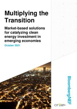 Multiplying the Transition - Market-based solutions for catalyzing clean energy investment in emerging economies - Climate Investment Funds