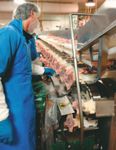 NATIONAL ANIMAL WELFARE STANDARDS CHICKEN MEAT INDUSTRY - FOR THE The Standards