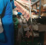 NATIONAL ANIMAL WELFARE STANDARDS CHICKEN MEAT INDUSTRY - FOR THE The Standards