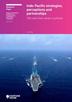 Indo-Pacific strategies, perceptions and partnerships - The view from seven countries