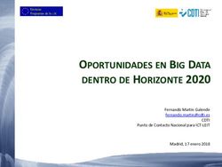 OPORTUNIDADES EN BIG DATA DENTRO DE HORIZONTE 2020 - Fernando Martín Galende CDTI Madrid, 17 enero 2018 - Planetic