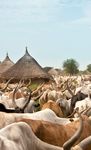SOUTH SUDAN'S HEALTH SECTOR - www.ahb.co.ke - Africa Health Business