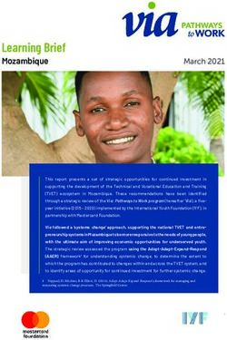 Learning Brief Mozambique - International Youth Foundation