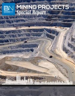 MINING PROJECTS Special Report - Business News