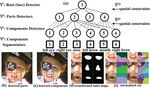 Hierarchical Face Parsing via Deep Learning