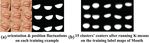 Hierarchical Face Parsing via Deep Learning
