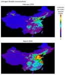 BRIEFING NOTE: ON 1Q 2020 DATA - IMPACTS OF COVID-19 PANDEMIC