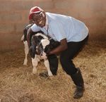 CVER Biennial Report 2019 2020 - CVER Biennial Report 2019 2020 - Centre for Veterinary ...