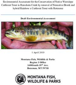 Environmental Assessment for the Conservation of Native Westslope Cutthroat Trout in Ramshorn Creek by removal of Nonnative Brook and hybrid ...