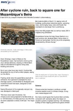 After cyclone ruin, back to square one for Mozambique's Beira - Phys.org